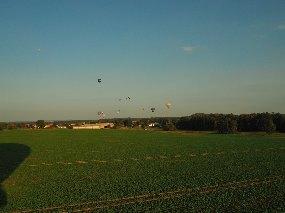 P9298584.jpg